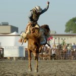 Top Five Places to Experience the Rodeo in North America