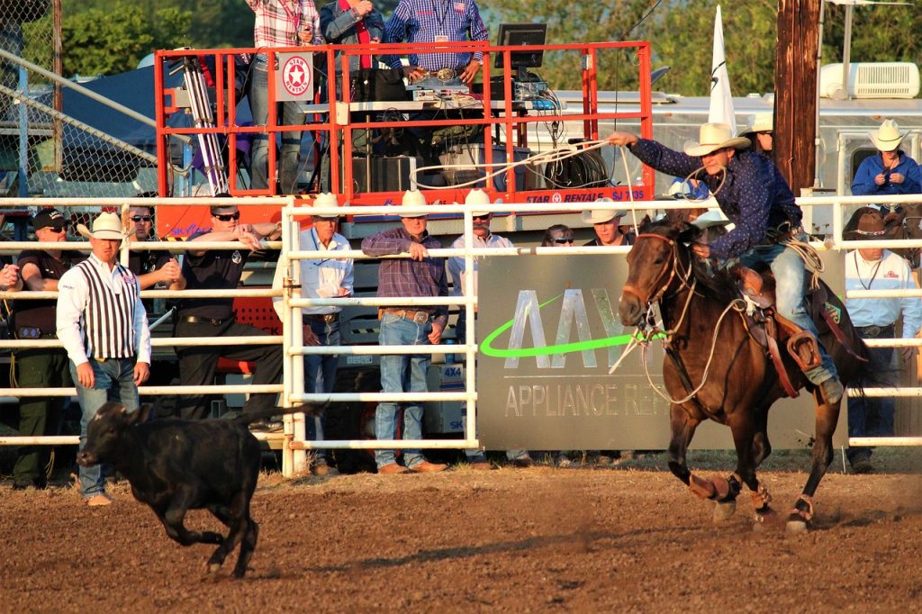 Top Five Places to Experience the Rodeo in North America